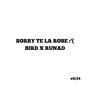 SORRY TE LA ROBE :'( (feat. RUNAD) [Explicit]