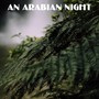 An Arabian Night