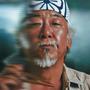 MR. MIYAGI