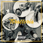 TORATTORIA (Explicit)