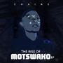 The Rise Of Motswako