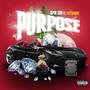 Purpose (feat. Lily Massie)