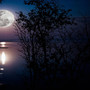 Moonlight Escapade
