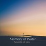 Memory of Water