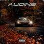 AUDINĖ (Explicit)