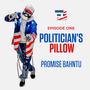 Politician's Pillow