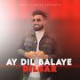 Ay Dil Balaye Dilbar (feat. Tawab Jawed)