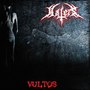 Vultos