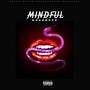 Mindful (Explicit)