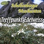 Treffpunkt Edelweiss / Fröhliche Volksmusik - Folge 2