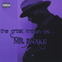 The Artist Known as... Mr. Snake (Explicit)