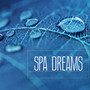 Spa Dreams - Music for Spa Breaks, Wellness Centers and Massage Background Songs