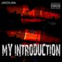 My Introduction (Explicit)