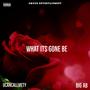 What its gone be (feat. Big Ab & Ucancallmety) [Explicit]