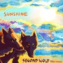 Sunshine (feat. Jarrett Fenlon)