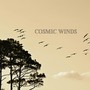 Cosmic Winds