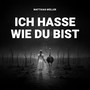 Ich Hasse Wie Du Bist (Explicit)