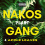 Plant (Explicit)