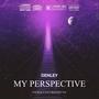 My Perspective (Explicit)