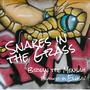 Snakes in the Grass (feat. Bryan the Mensah)