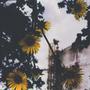 Light of Day Tapes (Explicit)