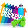 2016 Workout Essentials