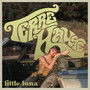 terre haute