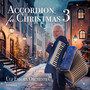 Accordion for Christmas 3