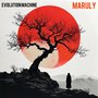 Evolution Machine (Explicit)