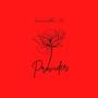 PROVIDER (Explicit)