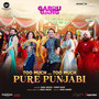 Too Much... Too Much Pure Punjabi (From 