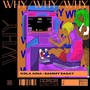 Why (Explicit)