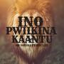 INO PWIIKINA KAANTU (feat. Doc Lee)