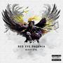 Red Eye Phoenix (Explicit)