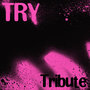 Try (Pink Tribute)