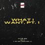 What I Want, Pt. 1 (Explicit)