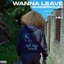 Wanna Leave (Explicit)