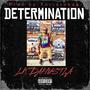 Determination (Explicit)