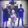 Corolla (Explicit)