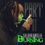 Burning, Pt. 2 (Explicit)