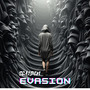 Evasion (Explicit)