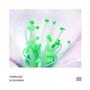 Blossoming - Single