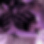 Body Hits (Explicit)