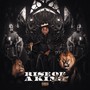 Rise Of A King (Explicit)