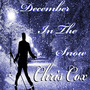 December in the Snow