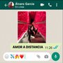 AMOR A DISTANCIA