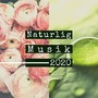 Naturlig Musik 2020: Dybt Afslappende Naturmusik at Meditere