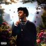 Emotions (Explicit)