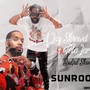 SUNROOF (feat. TELA James & Soulful Skonie) [Explicit]