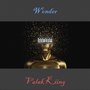 Wonder (Explicit)